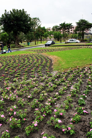 Ilan University Campus